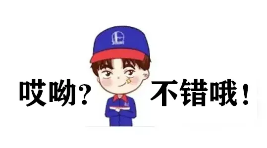 加95号汽油的车，可以加爱跑98号吗？