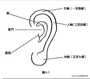 看福在耳：如何通过相耳来看一个人流年运势呢