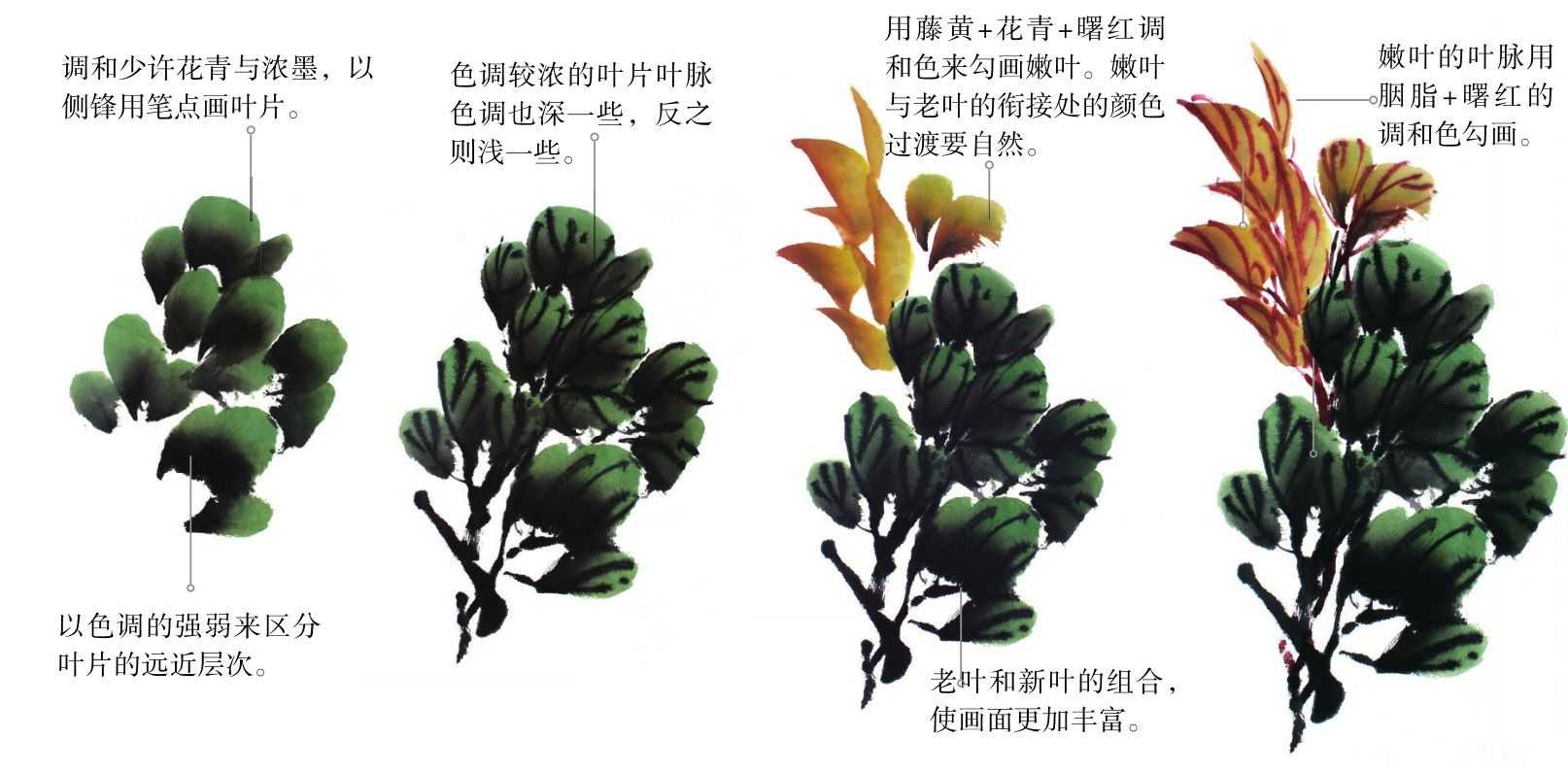 零基础国画教程:分步骤讲解牡丹叶子画法,简单易学,一起来临摹