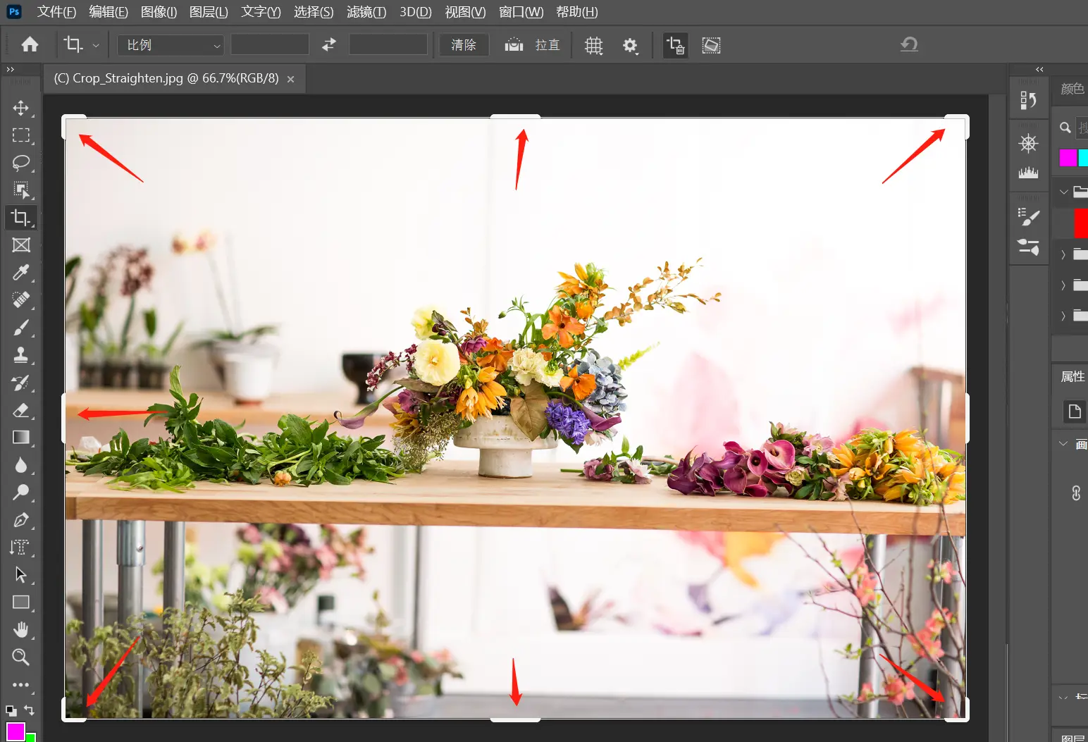 八：一分钟学会PS裁剪和调整图像大小