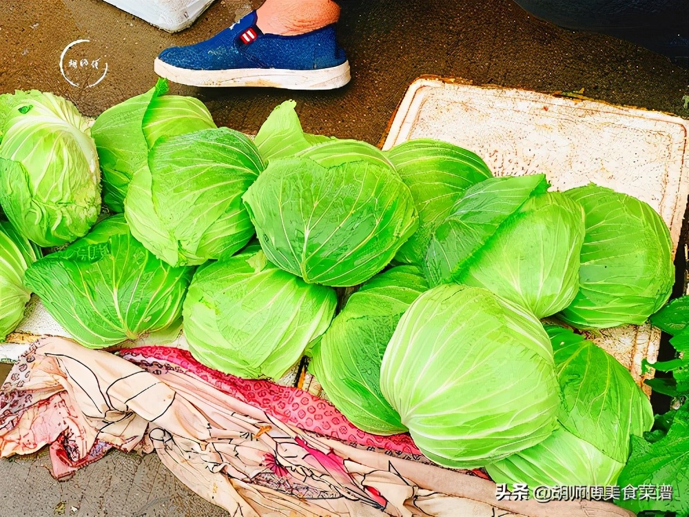 圆白菜长什么样子图片图片