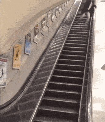 外国人作死动态图片大全