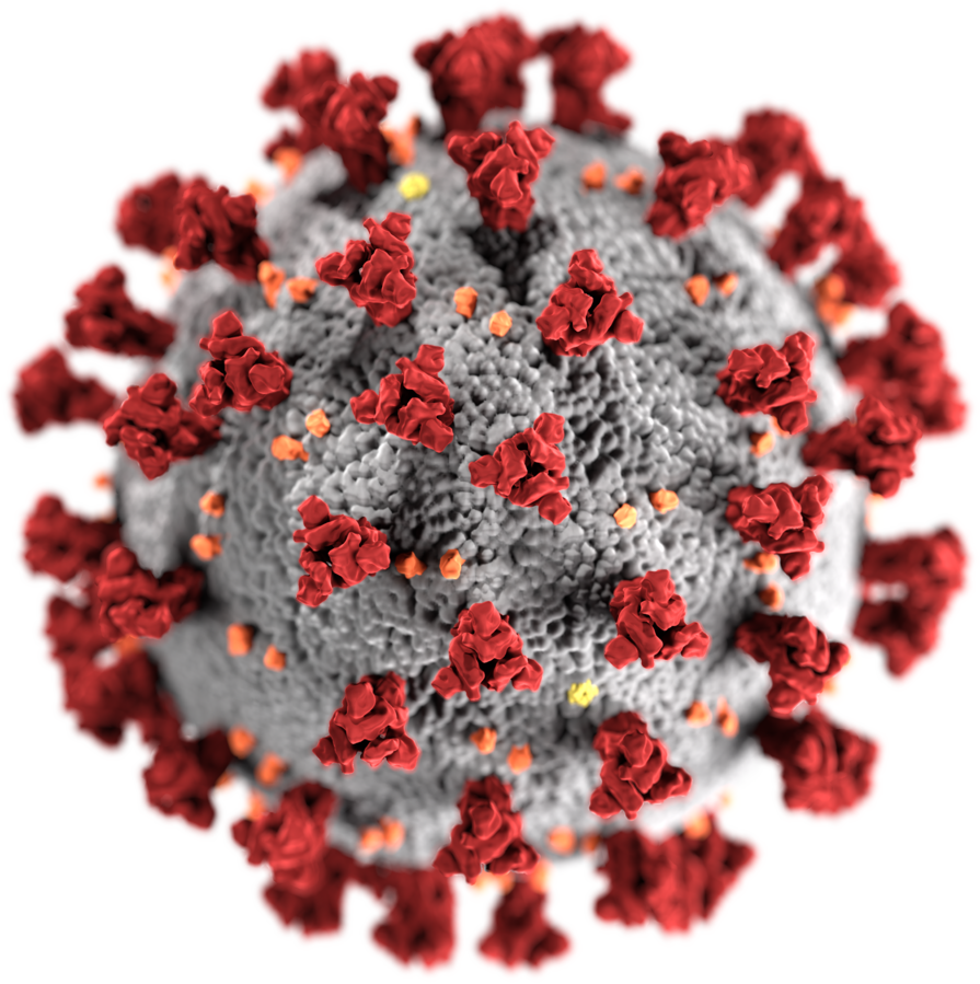 新型冠状病毒肺炎是由2019新型冠状病毒所引发的病症,目前该传染病还
