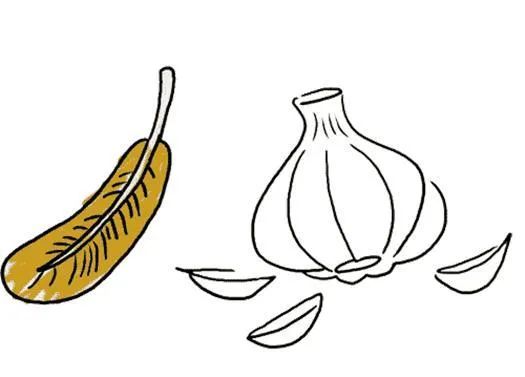 鸡皮蒜毛的故事图片 _飞翔号