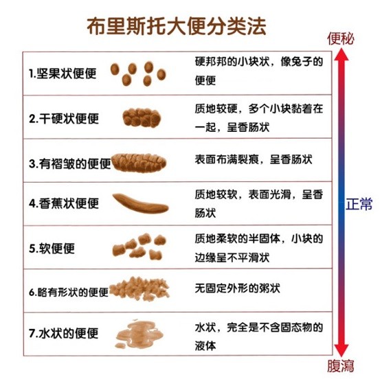 超全、超详细宝宝各种大便解析，含高清大图