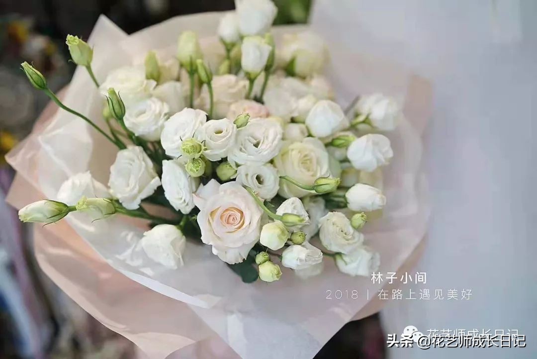 苏醒玫瑰是什么颜色（10款粉色玫瑰品种介绍）
