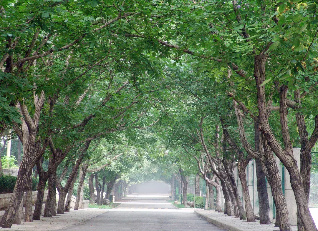 山东师范大学教师招聘（重磅发布）