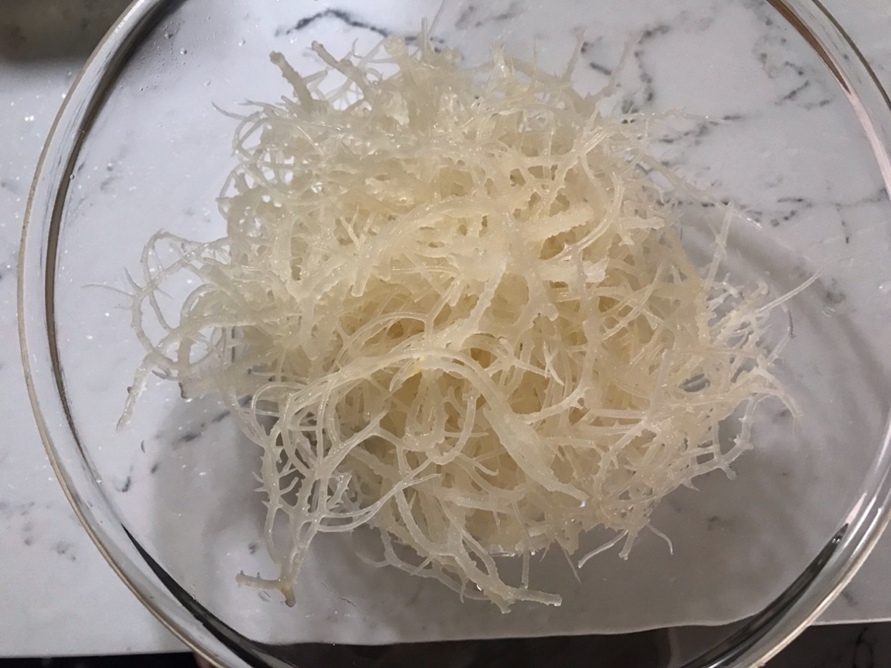 凉拌海石花,营养丰富味道独特,看着就很好吃