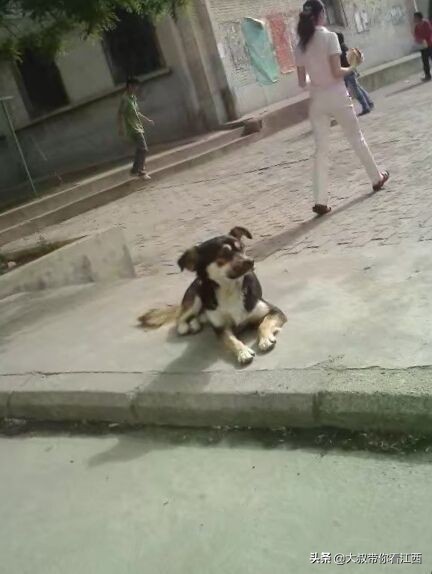 大同医专校园回忆