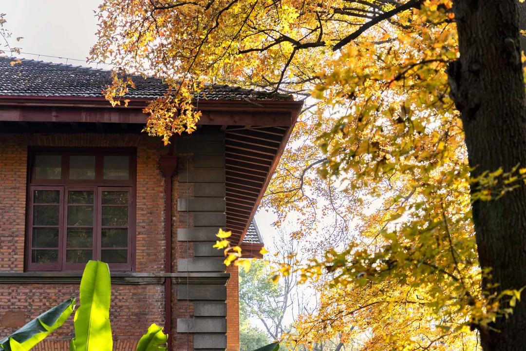 上新啦！6款浙大高颜值PPT模板送给你