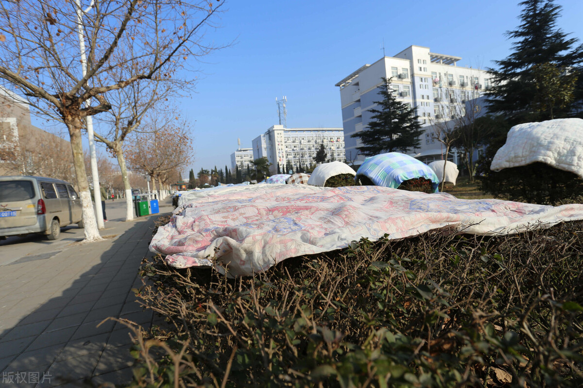 很多人热衷于“大学”，而对“学院”很冷淡，这两者有何不同