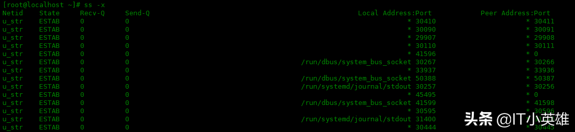Linux 中 ss 命令的使用實例