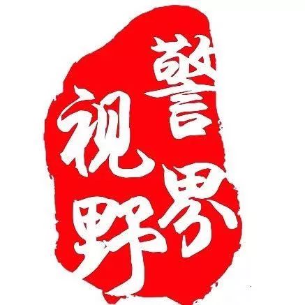 「平安西安 榜样力量」公交分局民警冯二虎的“经典反扒”