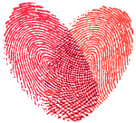 高考分数线公布了！这几个省已经可查