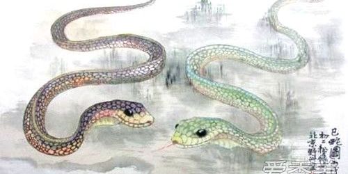 2001年出生的属蛇人2019年运势