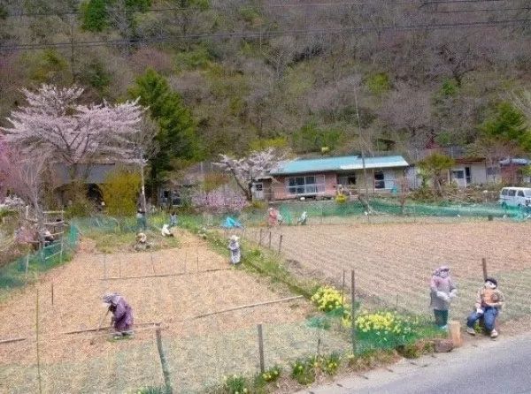 日本63%的夫妻没有性生活，再这样，日本要完了！