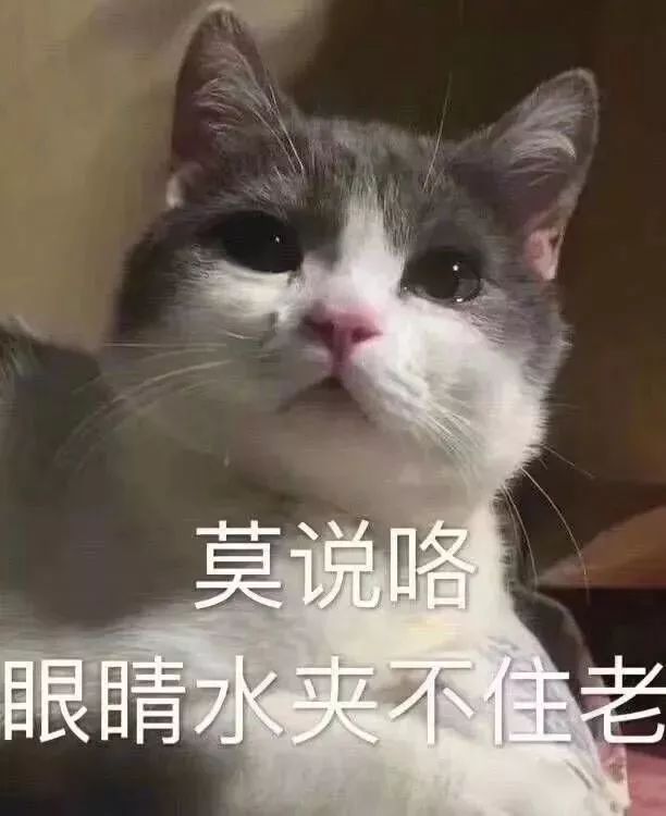 普定二手房,普定二手房急出售新房