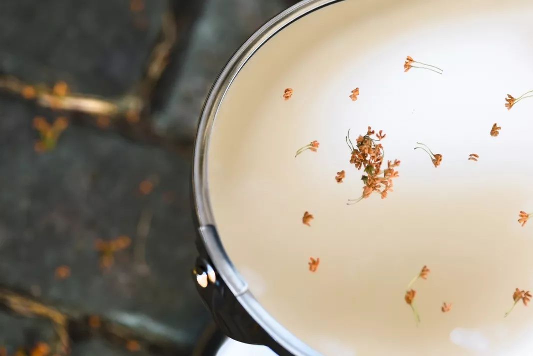 对不起，今年的华师桂花迟到了！