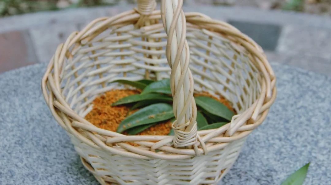 对不起，今年的华师桂花迟到了！