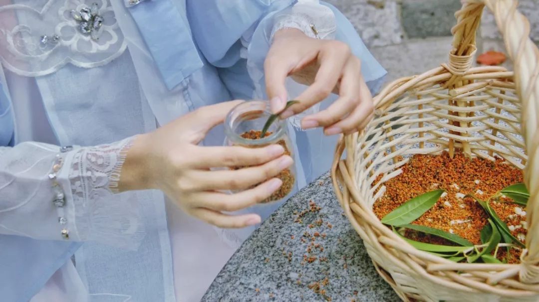 对不起，今年的华师桂花迟到了！