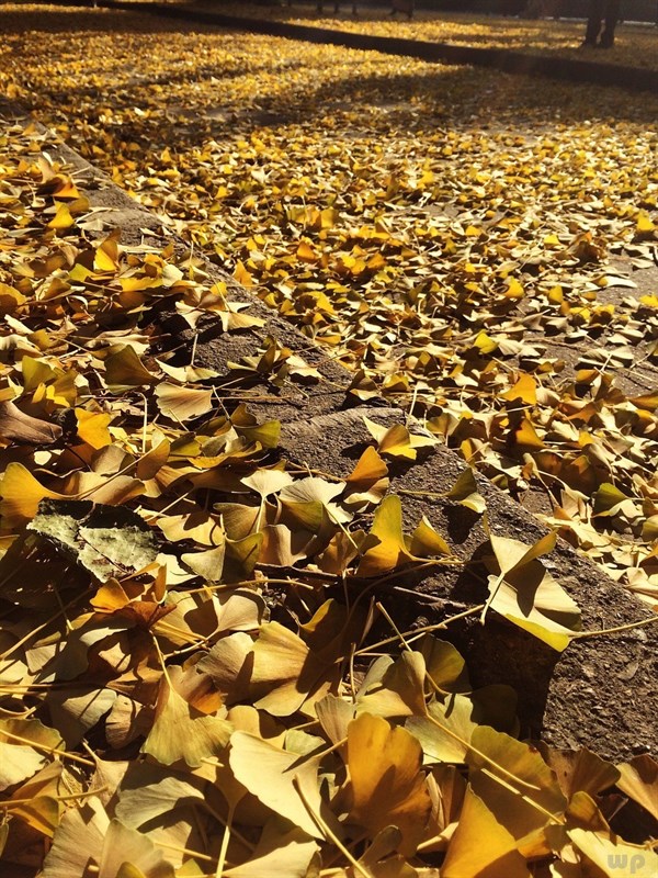 关于青春心情的唯美文艺句子，简短励志，发朋友圈很不错