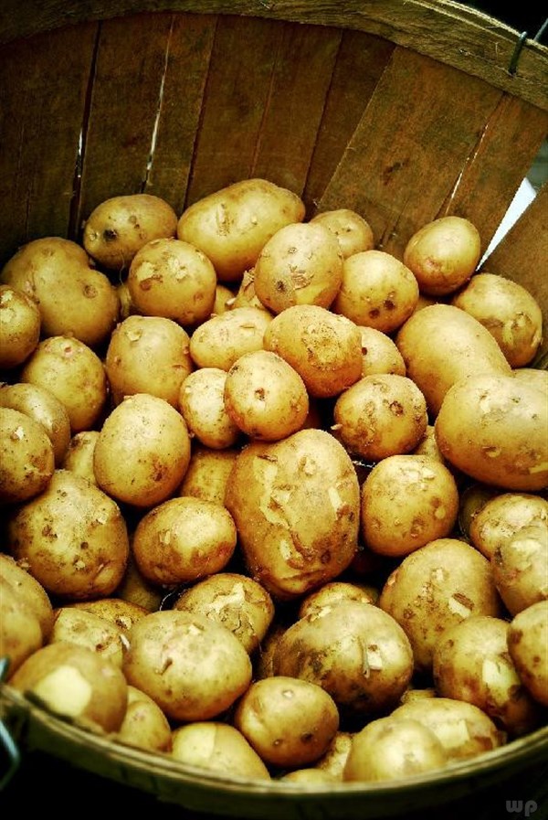 长芽的土豆能吃吗(发芽后的土豆到底还能吃吗？可能你一直存在误解，快点让家人知道)