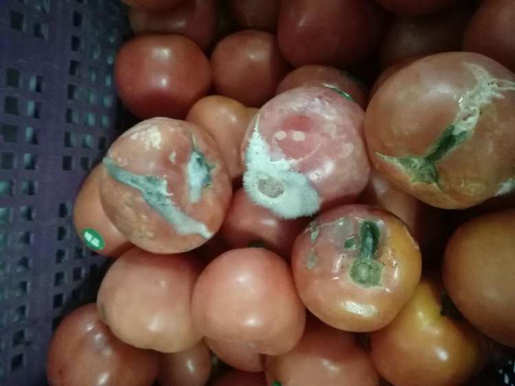 怡乐食服务的食堂不止中芯学校！包玉刚实验学校的食堂今接受检查