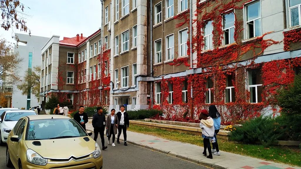 今日霜降，齐大校园如诗如画！