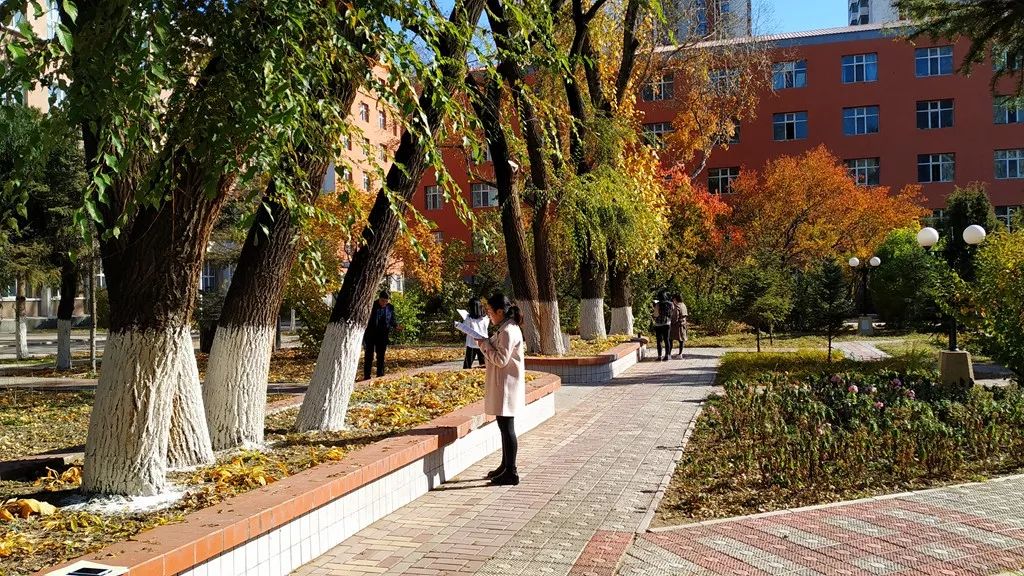 今日霜降，齐大校园如诗如画！