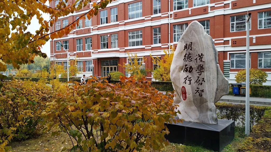 今日霜降，齐大校园如诗如画！