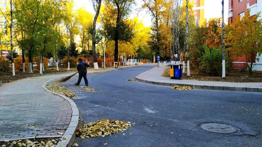 今日霜降，齐大校园如诗如画！