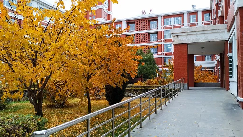 今日霜降，齐大校园如诗如画！