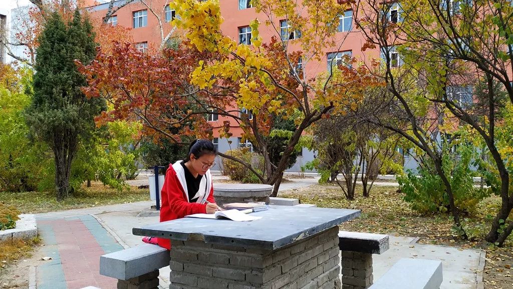 今日霜降，齐大校园如诗如画！