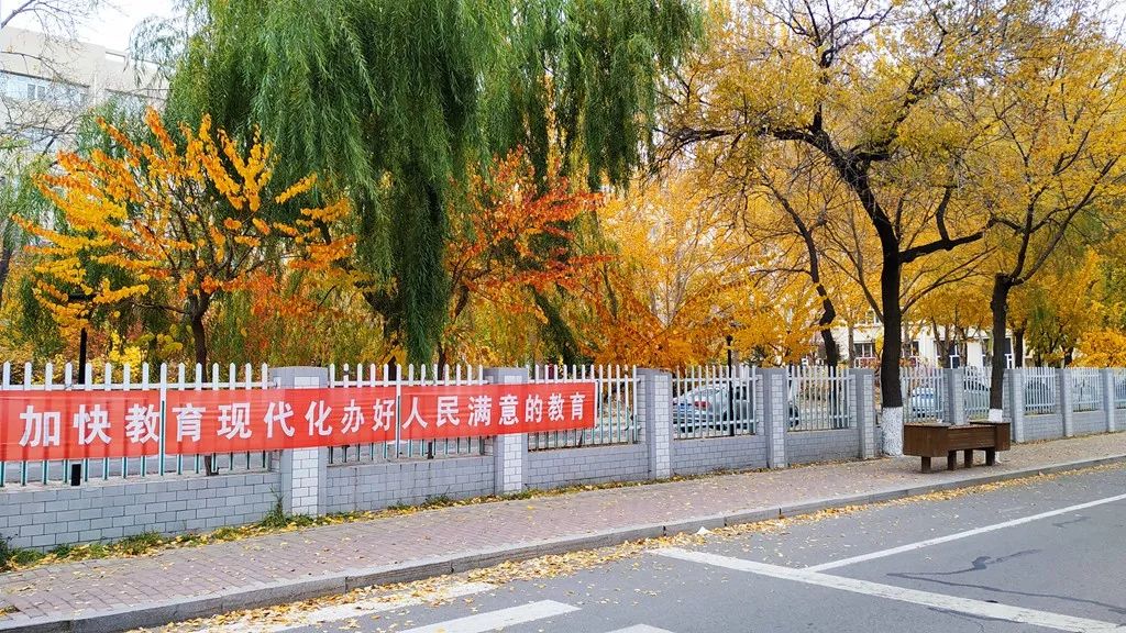 今日霜降，齐大校园如诗如画！