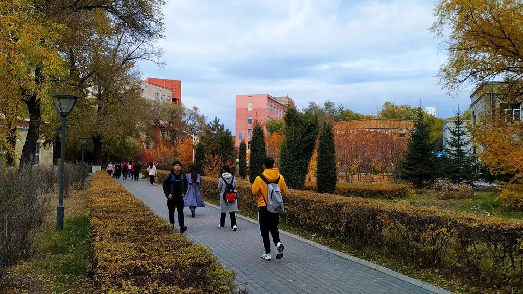 今日霜降，齐大校园如诗如画！