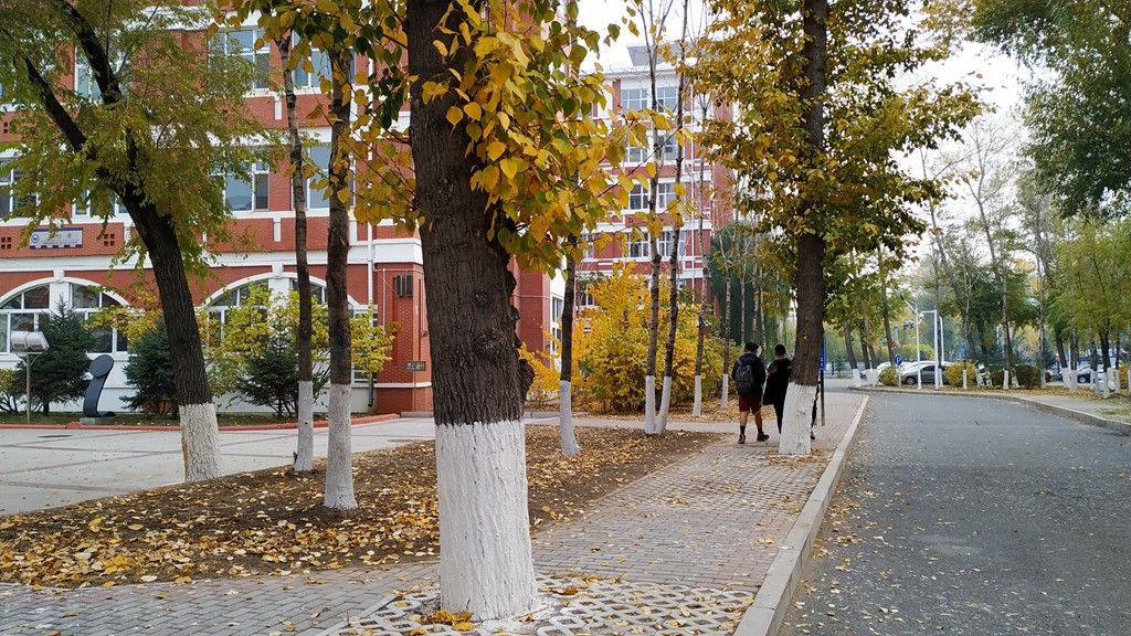 今日霜降，齐大校园如诗如画！