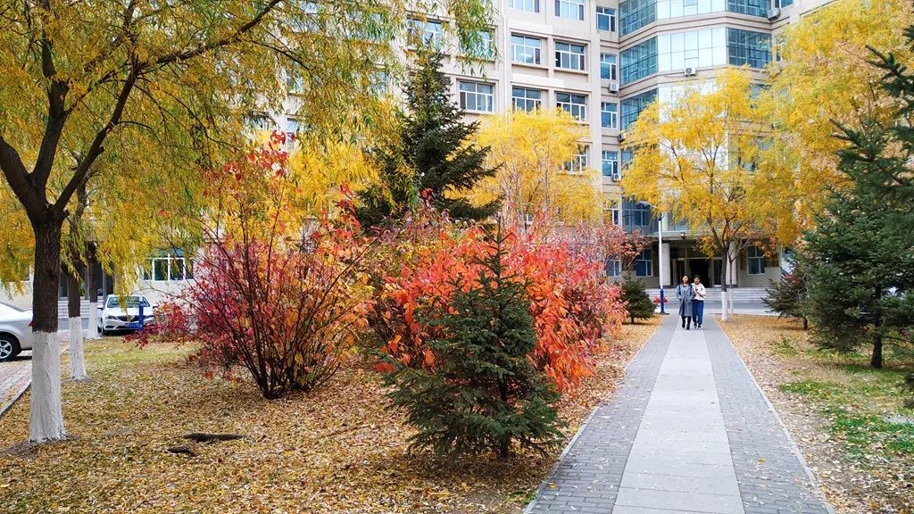 今日霜降，齐大校园如诗如画！