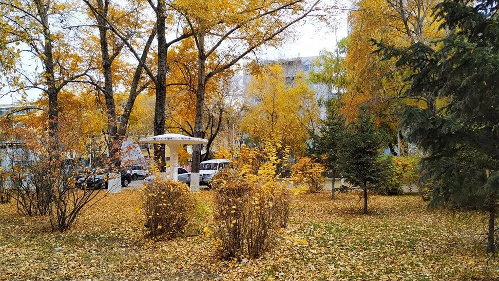 今日霜降，齐大校园如诗如画！