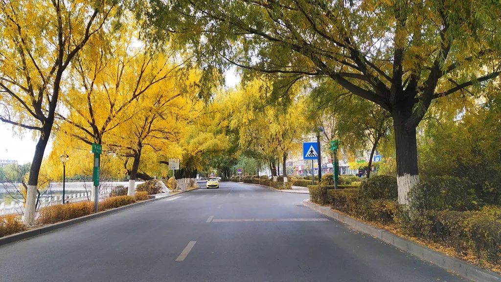 今日霜降，齐大校园如诗如画！