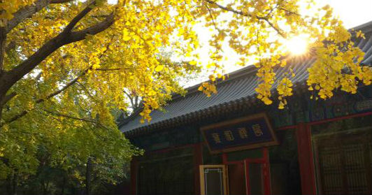 秋风起秋意浓 深秋的京城寺庙更美