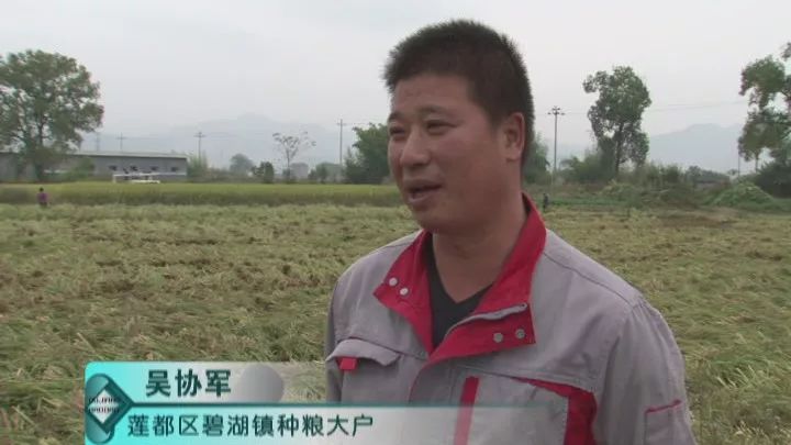 手機(jī)也能申請農(nóng)機(jī)購置補(bǔ)貼、查詢進(jìn)度！