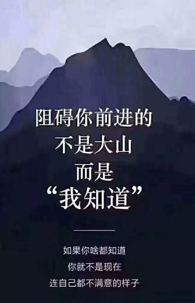 走近每日一淘，让您打造自己的躺赚模式