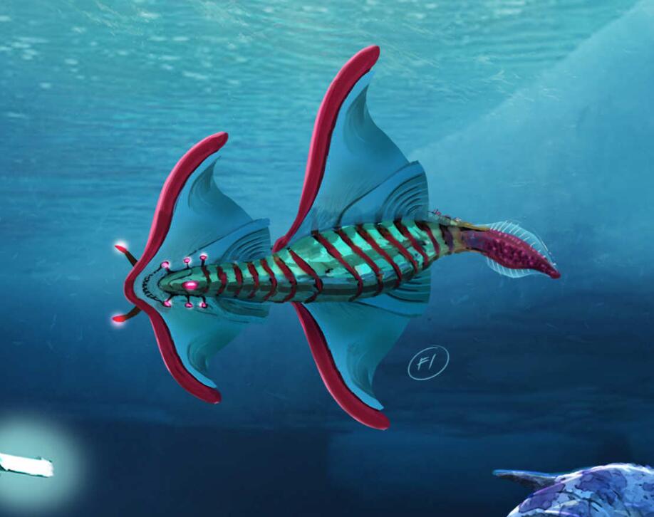 《深海迷航》零度之下生物图鉴