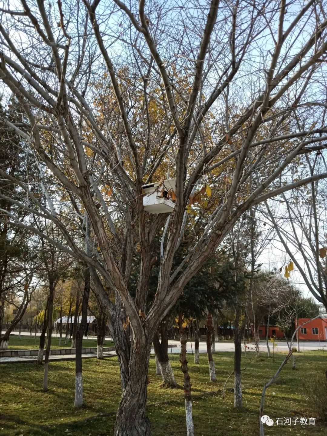 八师石河子市打造特色校园文化 助推教育均衡发展
