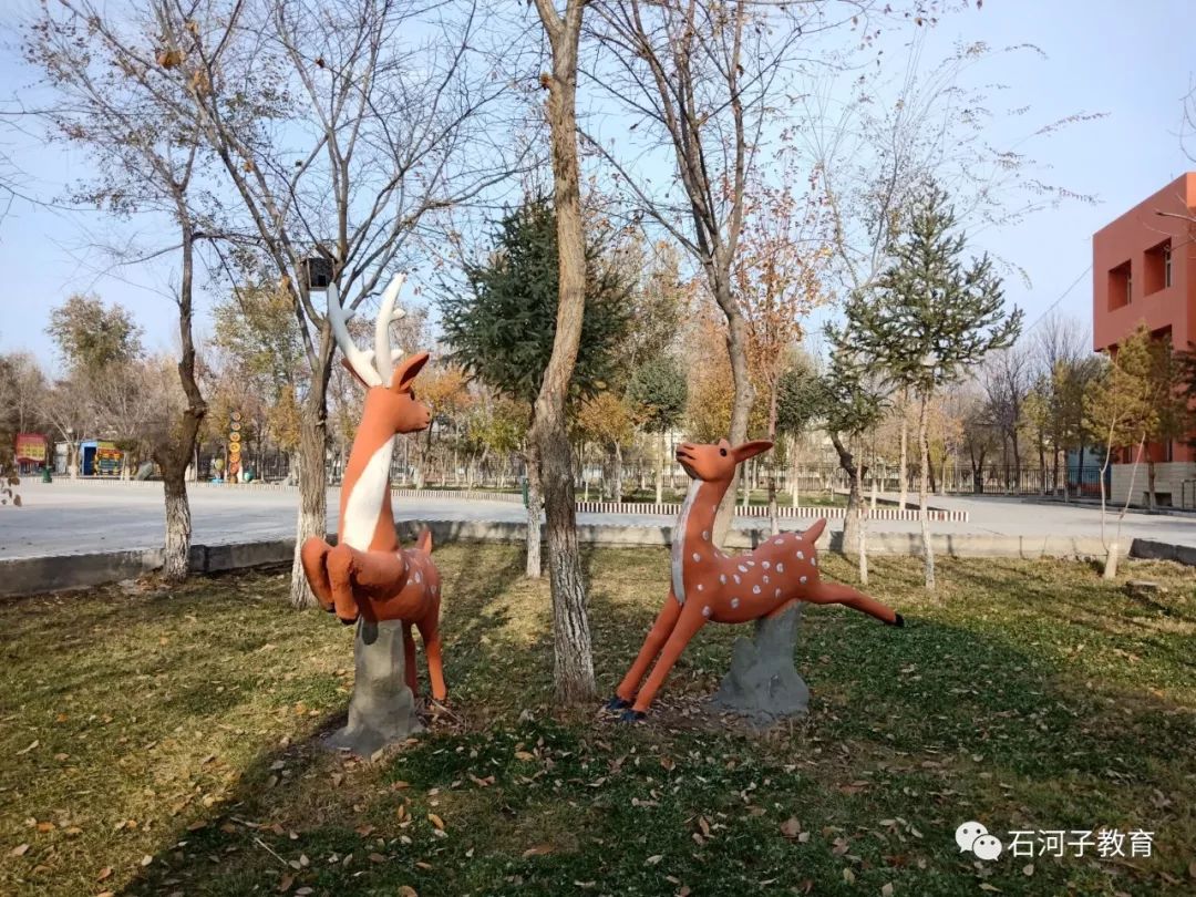 八师石河子市打造特色校园文化 助推教育均衡发展