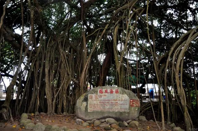 推荐 | 约起！一天时间，五种玩法，一起玩转防城港东兴