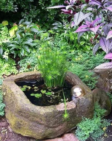 阳台上的迷你池塘!