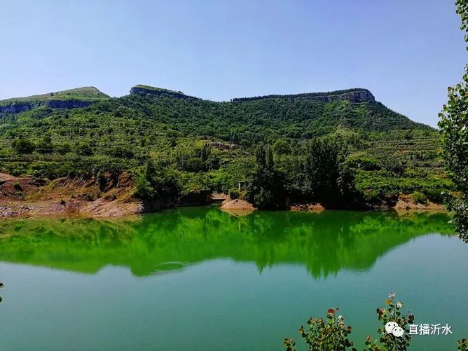 「旅游信息」沂水这个村美成一幅画,刚刚入选省级美丽休闲乡村