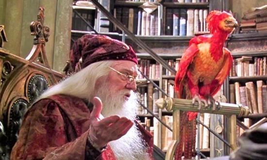 上古神兽驺吾全球圈粉无数 中国神话成外国电影新灵感富矿