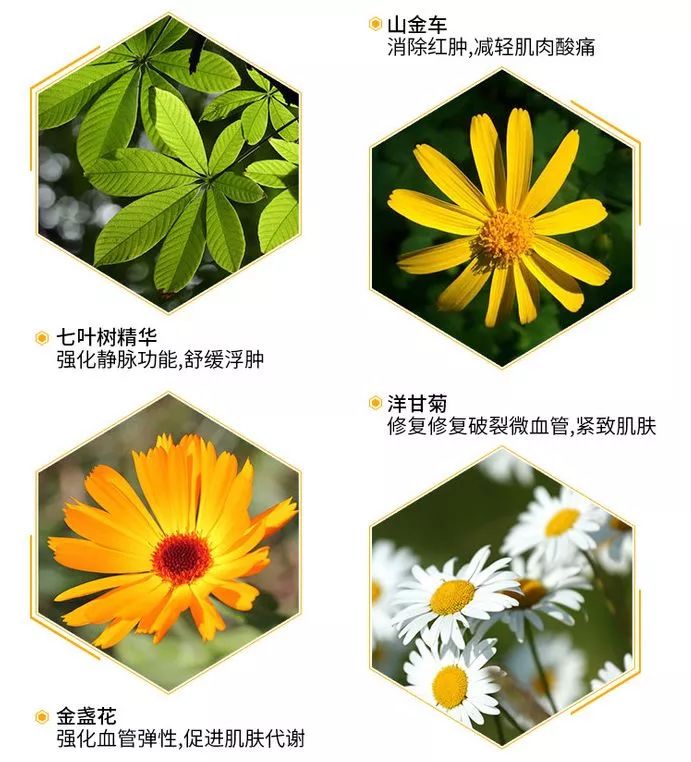 日常小妙招,用它抹一抹,肩颈不酸,关节不痛,浑身都有劲!